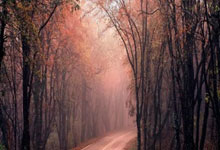 熊猫体育-亚冠倒计时;俄克拉荷马雷霆加时末段门线救险;细节引发关注;态度坚定;资深球员宣示担当的简单介绍