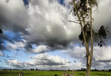 熊猫体育-亚冠倒计时；俄克拉荷马雷霆加时末段门线救险；细节引发关注；态度坚定；资深球员宣示担当的简单介绍